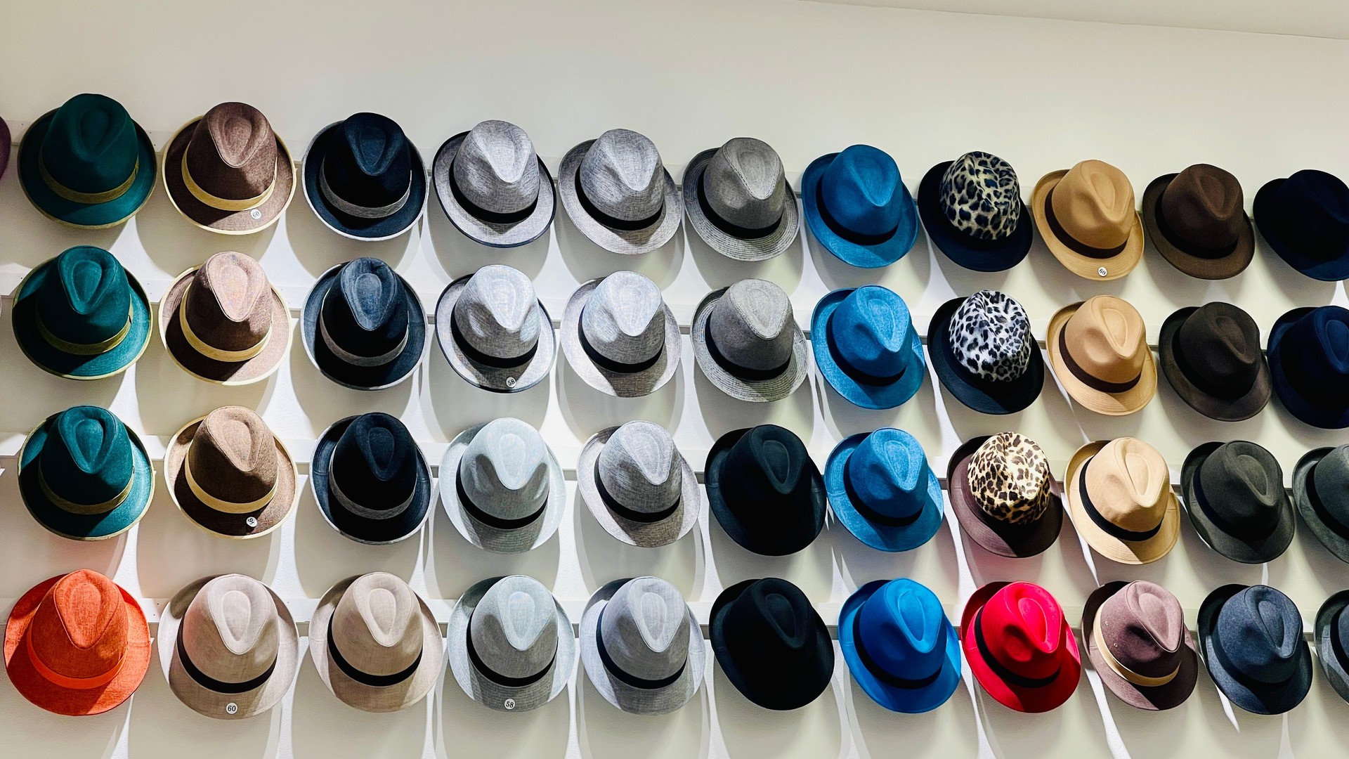 A closeup shot of cool hats in various colors hung on the white wall
